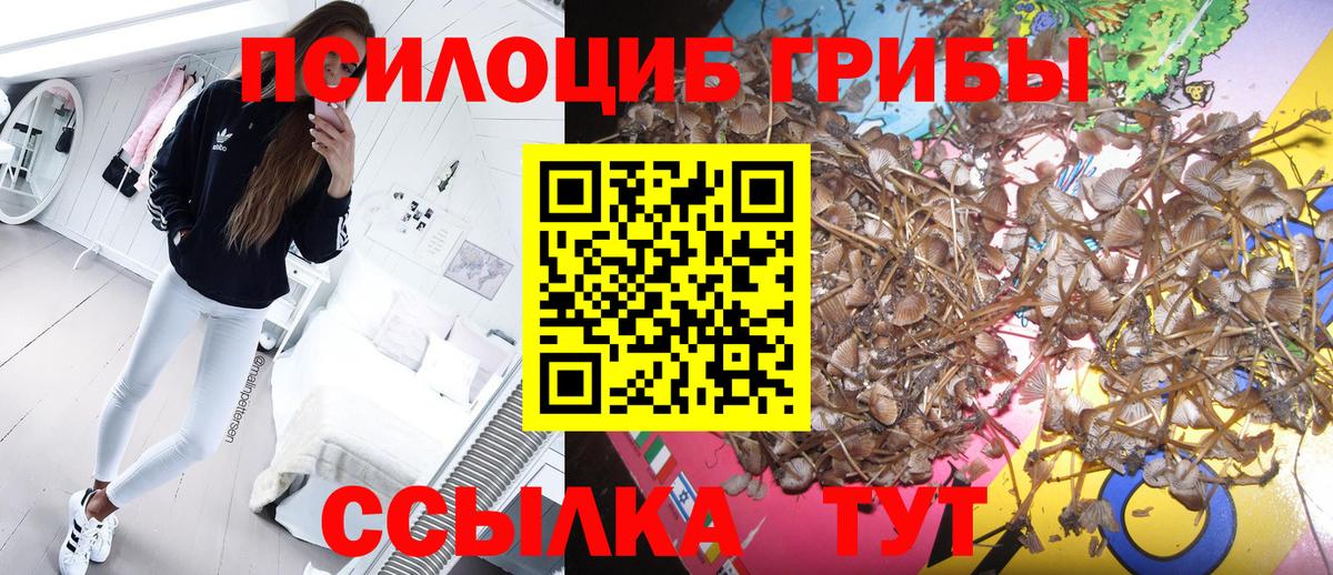 Галлюциногенные грибы GOLDEN TEACHER  Псилоцибиновые грибы Psilocybe  Вход с VPN  Волжск 